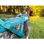 Non-stop Dogwear Freemotion 5.0 Harness kutyahám