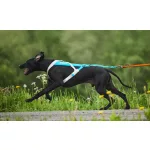 Non-stop Dogwear Freemotion 5.0 Harness kutyahám