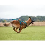 Non-stop Dogwear Freemotion 5.0 Harness kutyahám