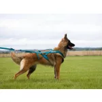Non-stop Dogwear Freemotion 5.0 Harness kutyahám