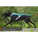 Non-stop Dogwear Freemotion 5.0 Harness kutyahám