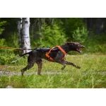 Non-stop Dogwear Freemotion 5.0 Harness kutyahám