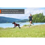 Non-stop Dogwear Freemotion 5.0 Harness kutyahám