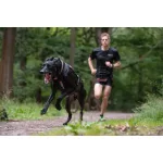 Non-stop Dogwear Freemotion Harness kutyahám