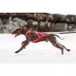 Non-stop Dogwear Combined Harness kutyahám