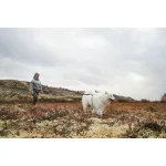 Non-stop Dogwear Ferd Belt kutyás futóöv