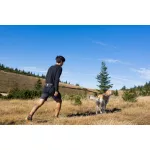 Non-stop Dogwear Trekking Belt 2.0 kutyás öv