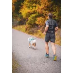 Non-stop Dogwear Trekking Belt 2.0 kutyás öv
