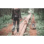 Non-stop Dogwear Trekking Belt kutyás öv