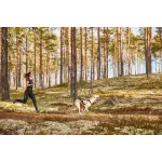Non-stop Dogwear CaniX Belt Pro kutyás futóöv