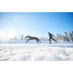 Non-stop Dogwear Loype Belt kutyás skijoring öv