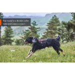 Non-stop Dogwear Rock Harness Long kutyahám
