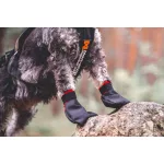 Non-stop Dogwear Solid Socks kutyacipő