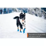 Non-stop Dogwear Long Distance Bootie kutyacipő