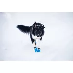 Non-stop Dogwear Long Distance Bootie kutyacipő