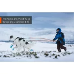 Non-stop Dogwear Long Distance Bootie kutyacipő