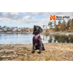 Non-stop Dogwear Ramble Harness kutyahám