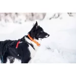 Non-stop Dogwear Safe Collar nyakörv