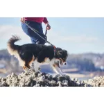 Non-stop Dogwear Cruise Collar nyakörv