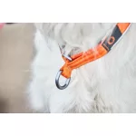 Non-stop Dogwear Cruise Collar nyakörv