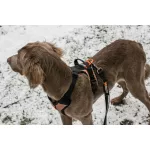 Non-stop Dogwear Strong Leash kutyapóráz