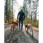 Non-stop Dogwear Rock Adjustable Leash állítható kutyapóráz
