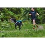 Non-stop Dogwear Bungee Leash kutyapóráz
