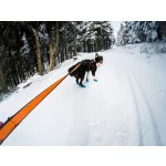 Non-stop Dogwear Bungee Leash kutyapóráz