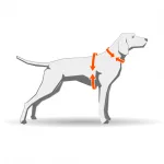Non-stop Dogwear Protector Vest kutyakabát