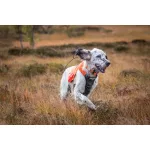 Non-stop Dogwear Protector Vest kutyakabát