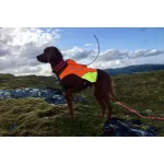 Non-stop Dogwear Protector Vest GPS kutyakabát