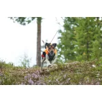 Non-stop Dogwear Protector Vest GPS kutyakabát