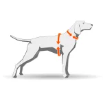 Non-stop Dogwear Protector Vest GPS kutyakabát