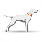 Non-stop Dogwear Protector Cover kutyakabát