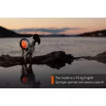 Non-stop Dogwear Reflection Blanket kutyakabát