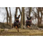 Non-stop Dogwear Line 5.0 Harness kutyahám