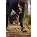 Non-stop Dogwear Line 5.0 Harness kutyahám