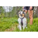 Non-stop Dogwear Line 5.0 Harness kutyahám