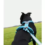 Non-stop Dogwear Line 5.0 Harness kutyahám
