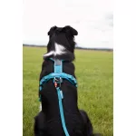 Non-stop Dogwear Line 5.0 Harness kutyahám