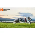 Non-stop Dogwear Line 5.0 Harness kutyahám