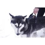 Non-stop Dogwear Line Harness Grip kutyahám