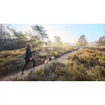 Non-stop Dogwear Trail Light Belt kutyás futóöv