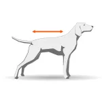 Non-stop Dogwear Fjord Raincoat kutya esőkabát