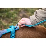 Non-stop Dogwear Trekking Rope Leash kutyapóráz