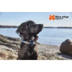 Non-stop Dogwear Tumble Collar kiskutya nyakörv