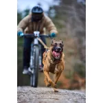 Non-stop Dogwear Freemotion Harness WD kutyahám