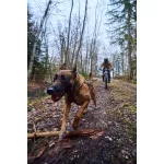 Non-stop Dogwear Freemotion Harness WD kutyahám
