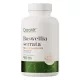 OstroVit Boswellia Serrata VEGE - 90 tabletta