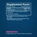 Haya Labs L-theanine 200mg - 60 db kapszula